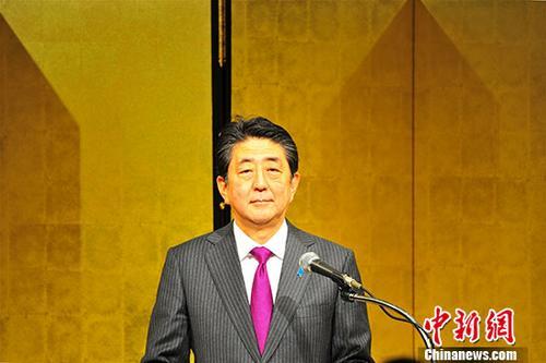 专业拍鸟镜头99re久久资源最新地址，捕捉天空之舞的神奇光学技术